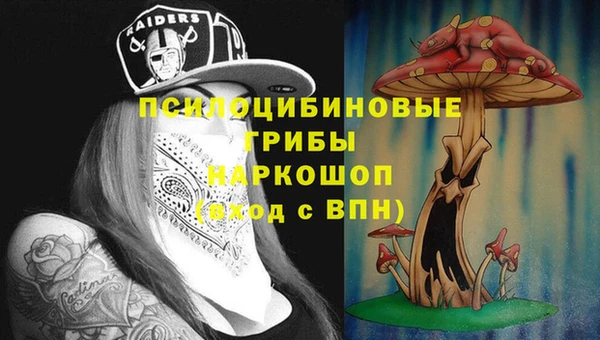 трава Арсеньев