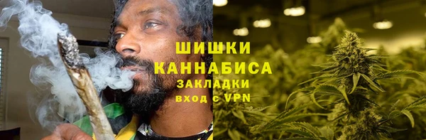 трава Арсеньев