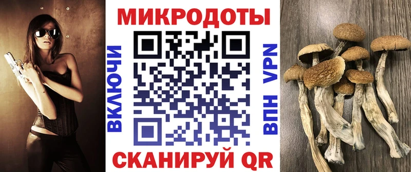 Псилоцибиновые грибы Psilocybine cubensis  наркотики  Богородск 